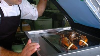 Lobster Taser: Now We've Tasered Everything